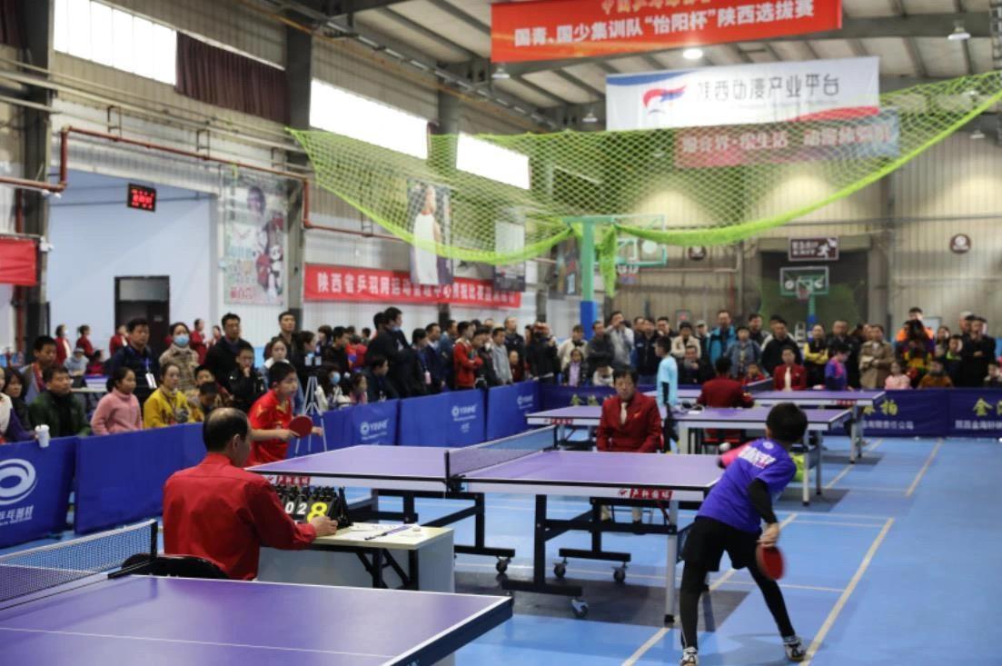 三分命中率 三分命中率