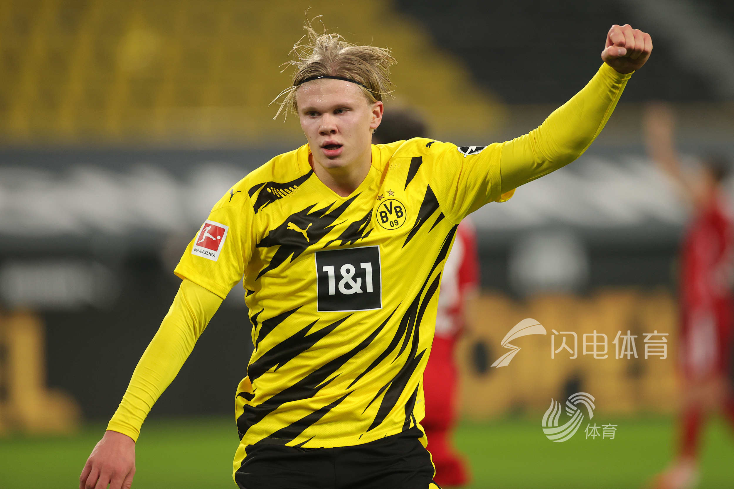 观众到场率 观众到场率