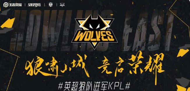 配对与技战